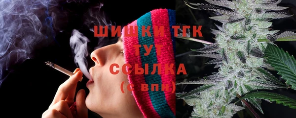 шишки Алексин