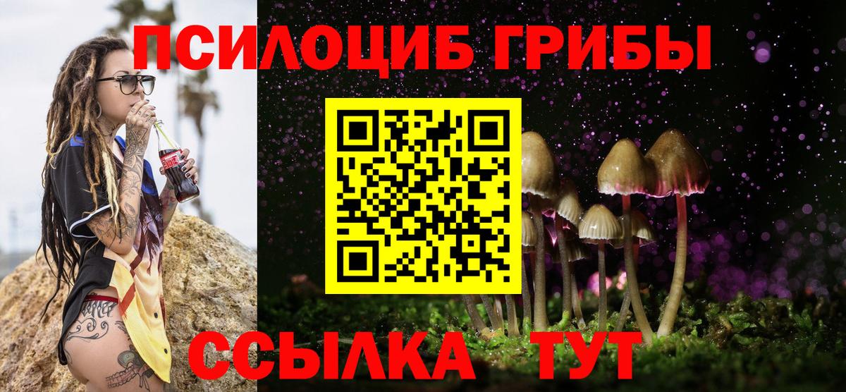 Псилоцибиновые грибы мицелий  Галлюциногенные грибы Psilocybine cubensis  Вход с VPN  Избербаш 